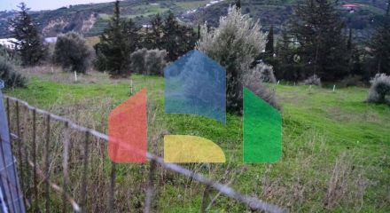 Продажа - Земельный участок 4100 m² на Крите