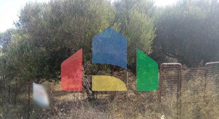 For Sale - Land 2500 m² in Crete