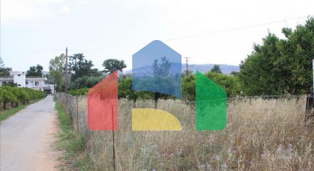 For Sale - Land 6086 m² in Crete