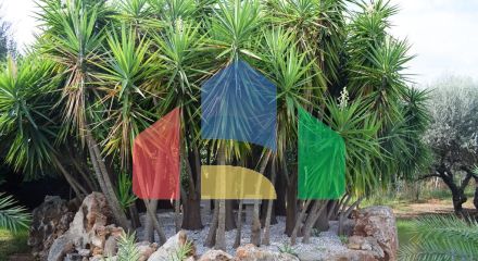 Продажа - Вилла 460 m² на Крите