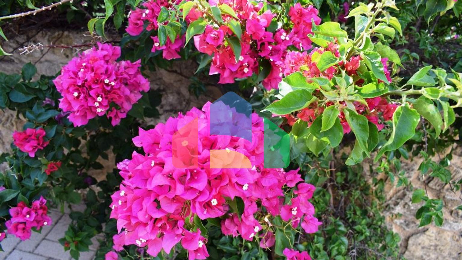 Продажа - Вилла 460 m² на Крите