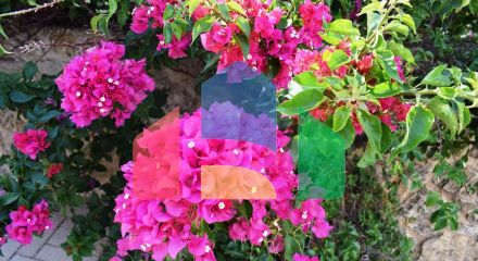 Продажа - Вилла 460 m² на Крите