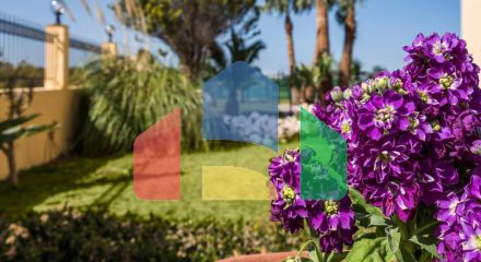 Продажа - Бизнес 310 m² на Крите Продажа - Бизнес 310 m² на Крите