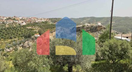 Продаж - Бізнес 540 m² на Криті Продаж - Бізнес 540 m² на Криті