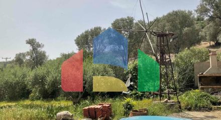 Продаж - Бізнес 540 m² на Криті Продаж - Бізнес 540 m² на Криті