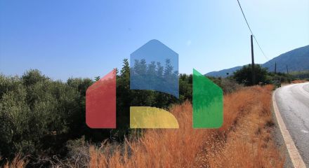 For Sale - Land 2500 m² in Crete