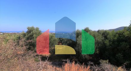 For Sale - Land 2500 m² in Crete