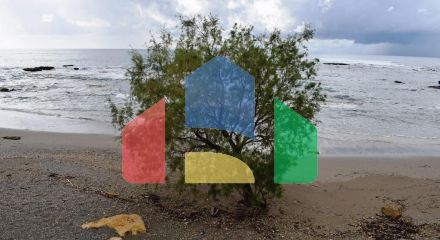 Продажа - Земельный участок 4089 m² на Крите Продажа - Земельный участок 4089 m² на Крите