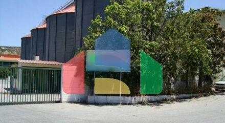 Продаж - Бізнес 2000 m² на Криті