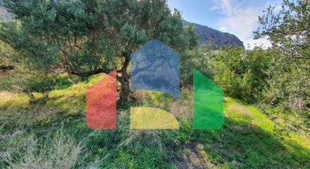 For Sale - Land 4000 m² in Crete