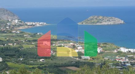 Продажа - Земельный участок 13000 m² на Крите