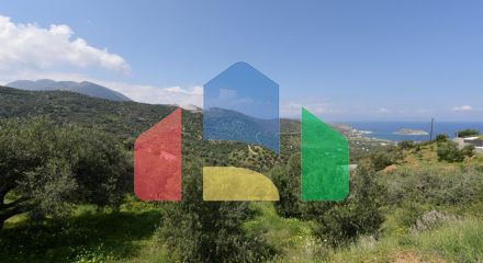 Продажа - Земельный участок 13000 m² на Крите