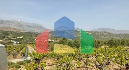 Продаж - Земельна ділянка 3000 m² на Криті