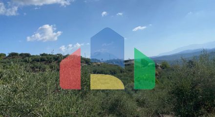 Продажа - Земельный участок 1000 m² на Крите