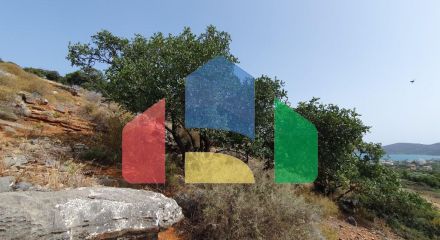 For Sale - Land 5834 m² in Crete