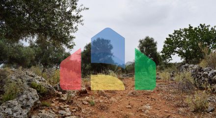 For Sale - Land 4000 m² in Crete