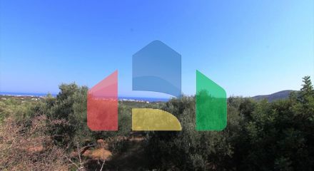 Продаж - Земельна ділянка 2000 m² на Криті