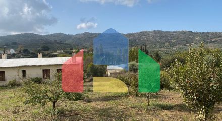 For Sale - Land 1500 m² in Crete