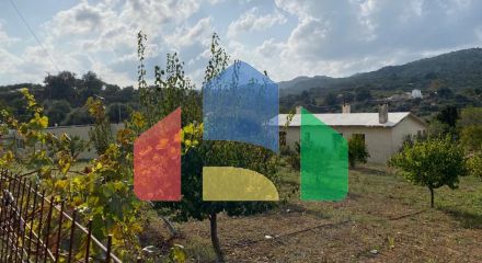 For Sale - Land 1500 m² in Crete