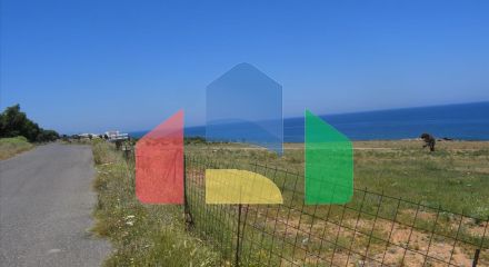 Продажа - Земельный участок 11065 m² на Крите