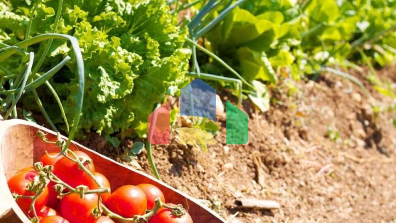 Продажа - Вилла 450 m² на Крите