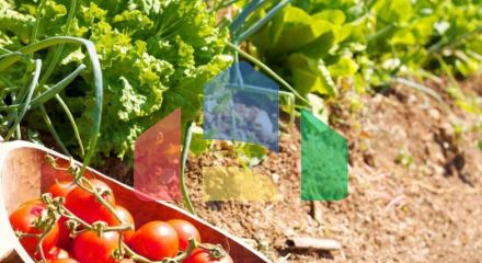 Продажа - Вилла 450 m² на Крите