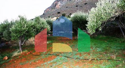 For Sale - Land 4500 m² in Crete