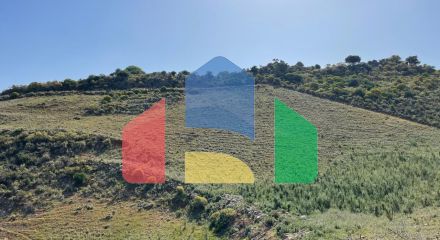 For Sale - Land 10000 m² in Crete