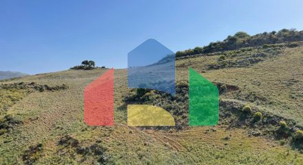 For Sale - Land 10000 m² in Crete