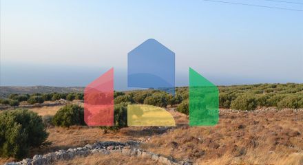 Продаж - Земельна ділянка 3000 m² на Криті