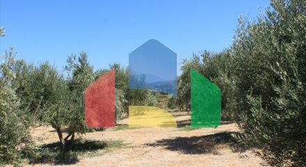 For Sale - Land 4200 m² in Crete