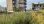 Продажа - Земельный участок 2150 m² на Крите