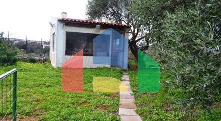 Продаж - Котедж 300 m² на Криті