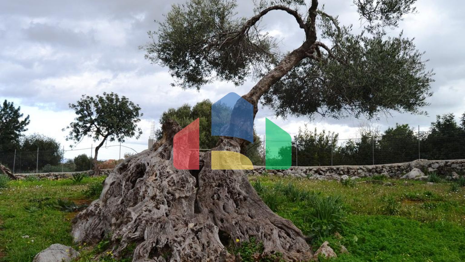 Продаж - Котедж 300 m² на Криті