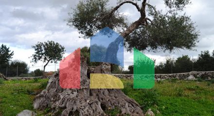 Продаж - Котедж 300 m² на Криті