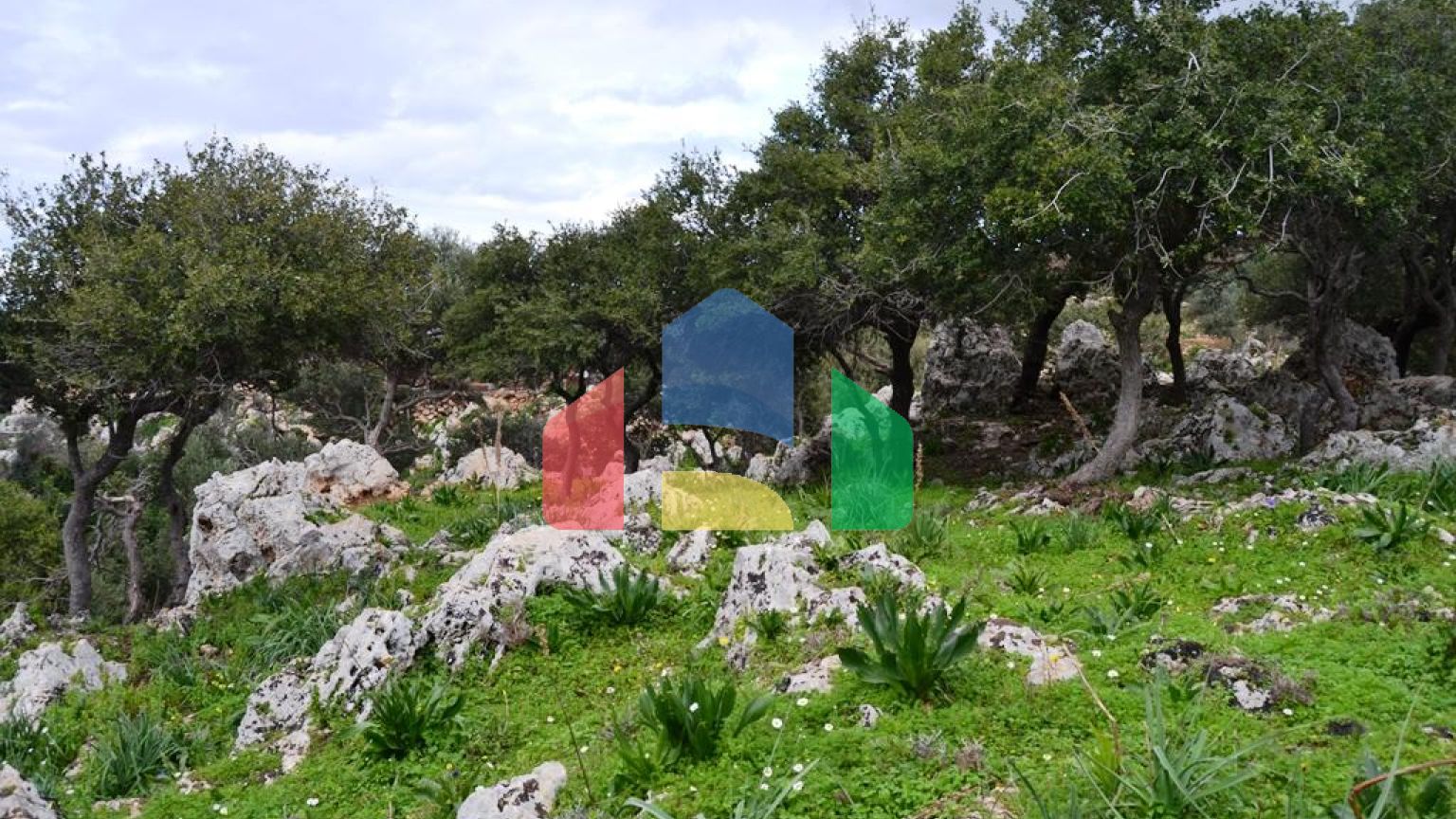 Продаж - Котедж 300 m² на Криті