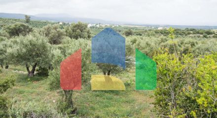 Продаж - Земельна ділянка 16000 m² на Криті