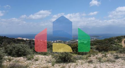 For Sale - Land 7000 m² in Crete