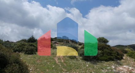 For Sale - Land 7000 m² in Crete