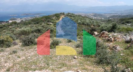 For Sale - Land 7000 m² in Crete