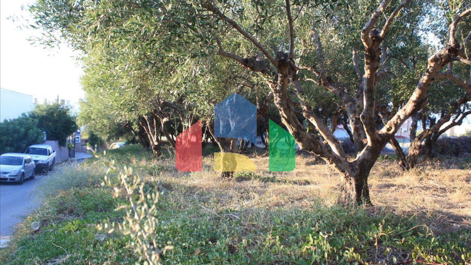 Продаж - Земельна ділянка 25000 m² на Криті