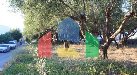 Продаж - Земельна ділянка 25000 m² на Криті