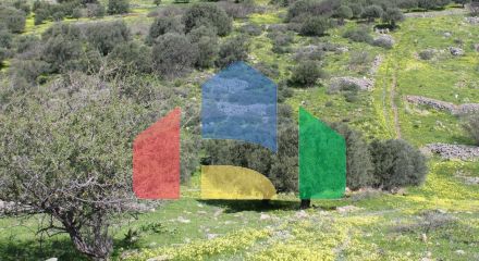 For Sale - Land 10800 m² in Crete