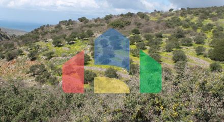 For Sale - Land 10800 m² in Crete