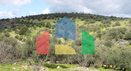 For Sale - Land 10800 m² in Crete
