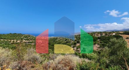 Продажа - Земельный участок 9363 m² на Крите