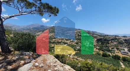 For Sale - Land 9068 m² in Crete