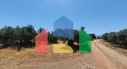 For Sale - Land 9068 m² in Crete
