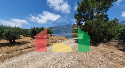 For Sale - Land 9068 m² in Crete
