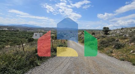 For Sale - Land 2600 m² in Crete